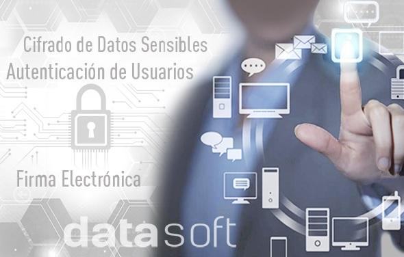 DataSoft - Soluciones Tecnológicas y Seguridad Informática en el ámbito de la Firma Electrónica, en PROVIDENCIA, Metropolitana