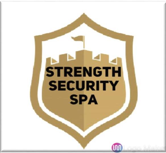 STRENGTH SECURITY SPA en CONCEPCION, Biobío