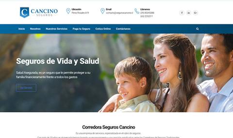 Fotografía 4 de Diseño web Chile en SANTIAGO, Metropolitana