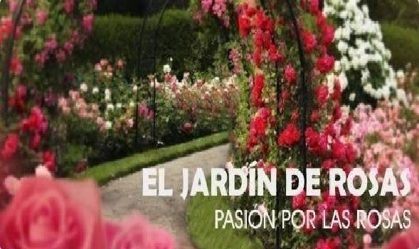 Fotografía 7 de Bellos ARREGLOS FLORALES PARA TODA OCASIÓN DESPACHOS GRATIS WHATSAPP +56990362193 en SANTIAGO, Metropolitana
