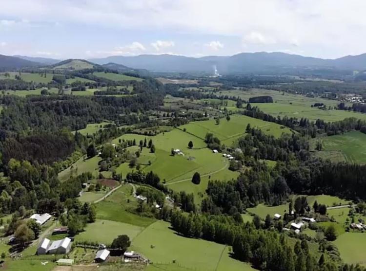 LOMAS DE PELEHUE en PANGUIPULLI, Los Ríos