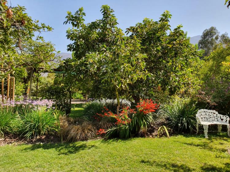 Fotografía 3 de MANTENCION DE AREAS VERDES, JARDINES Y AREAS VERDES en SAN BERNARDO, Metropolitana