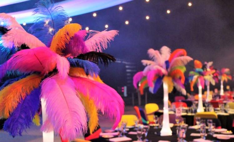 Plumas de avestruz de 30 a 70 cm teñidas en varios en SANTIAGO, Metropolitana
