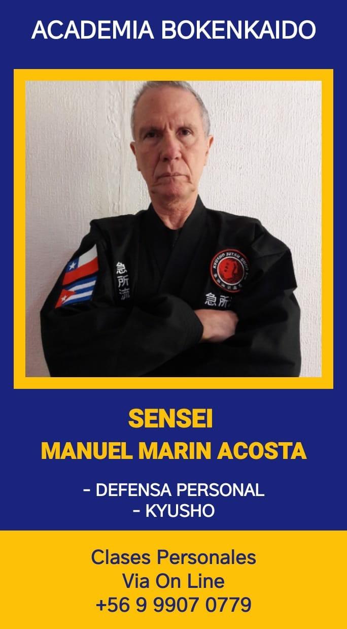 Fotografía 4 de Aprende a defenderte con defensa personal integral en PROVIDENCIA, Metropolitana