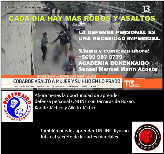 Fotografía 5 de Aprende a defenderte con defensa personal integral en PROVIDENCIA, Metropolitana