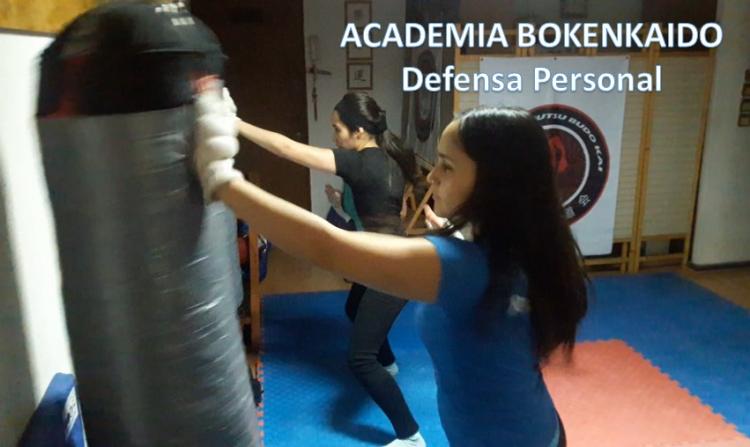 Aprende a defenderte con defensa personal integral en PROVIDENCIA, Metropolitana