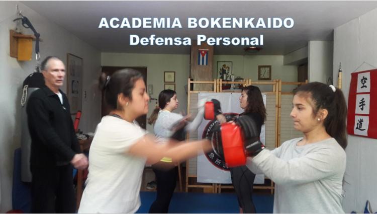 Fotografía 6 de Aprende a defenderte con defensa personal integral en PROVIDENCIA, Metropolitana