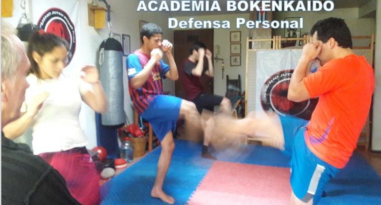 Fotografía 7 de Aprende a defenderte con defensa personal integral en PROVIDENCIA, Metropolitana