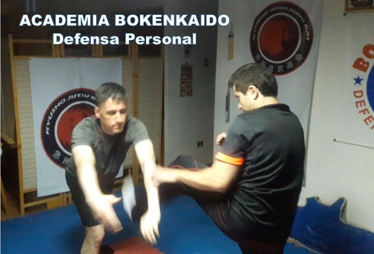 Fotografía 8 de Aprende a defenderte con defensa personal integral en PROVIDENCIA, Metropolitana