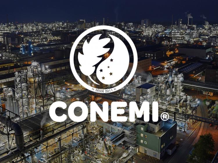 CONEMI - Control de Emisiones en PUERTO MONTT, Los Lagos