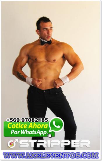 Fotografía 4 de KEVIN VEDETTO CURICO TALCA LINARES FONO +569 97082185