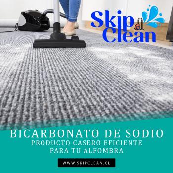 SKIP CLEAN LIMPIEZA DE ALFOMBRAS A DOMICILIO