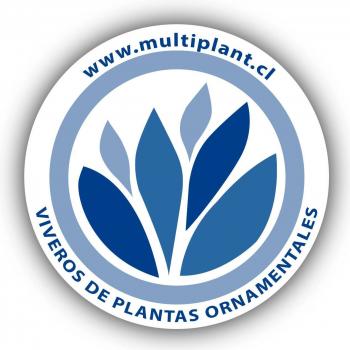 Vivero Multiplant Ventas online y Mayoristas