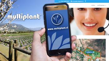 Viveros Multiplant Ltda. es una empresa líder en la industria de plantas ornamentales para jardín