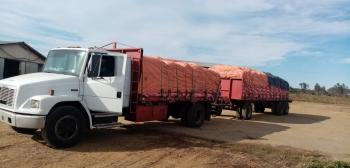 Cargas y fletes