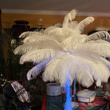 Plumas De Avestruz Para Centro De Mesa