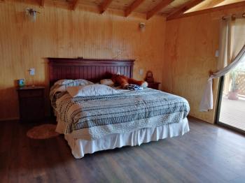 Fotografía 7 de Casa a pasos del mar