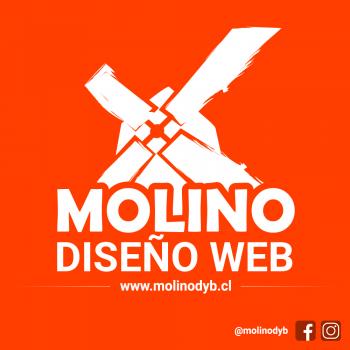 Diseño paginas web SANTIAGO