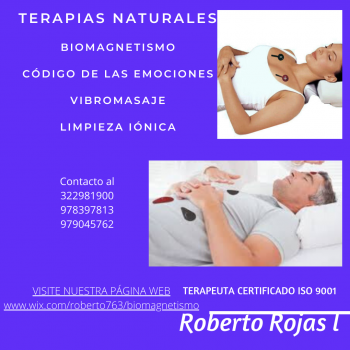 TERAPIA DE BIOMAGNETISMO Y OTRAS