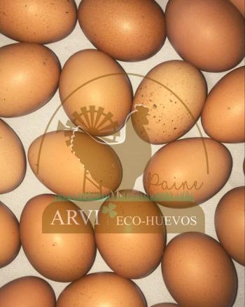 Venta de Huevos de Campo Orgánicos y de Gallinas Felices