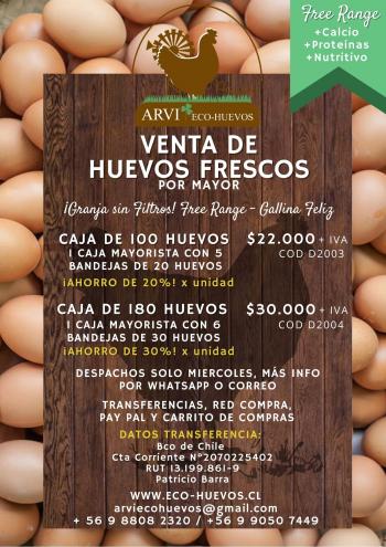 Fotografía 3 de Venta de Huevos de Campo Orgánicos y de Gallinas Felices