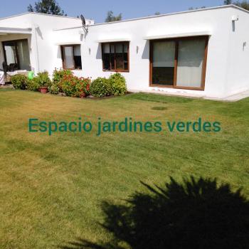 Fotografía 4 de Espacio jardines verdes