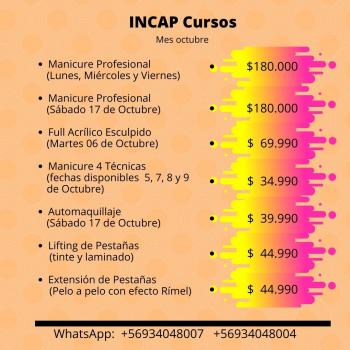 CURSO VARIADOS en SANTIAGO, Metropolitana