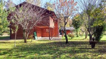 cabañas pucon