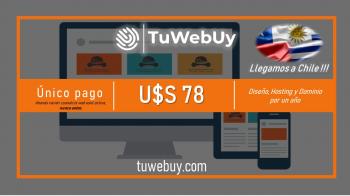 Diseño Web - Hosting - Dominio. El precio más bajo en CABILDO, Valparaíso