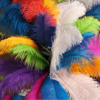 plumas de avestruz de 30 a 70 cm teñidas en varios colores