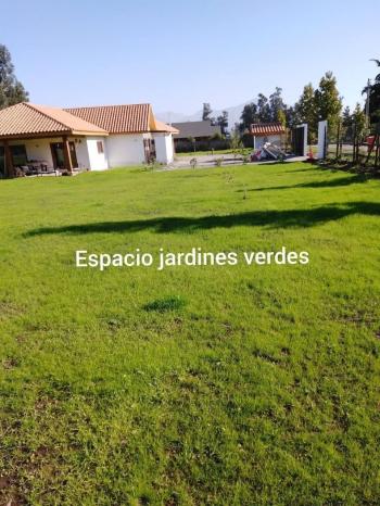 Fotografía 2 de Espacio jardines verdes