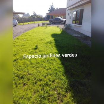 Fotografía 3 de Espacio jardines verdes