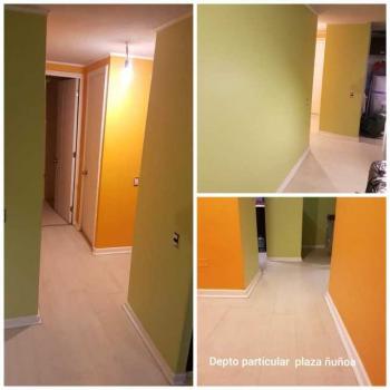 Fotografía 5 de Servicios de pintura y mantencion para particulares y empresas