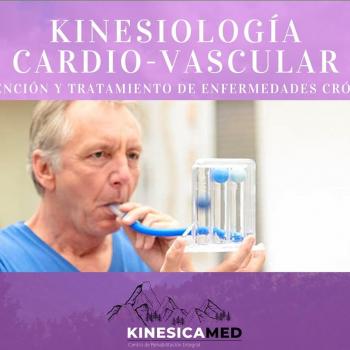 Fotografía 3 de KINESICAMED Centro de rehabilitación integral.