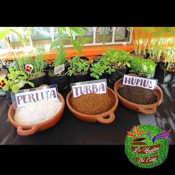 Insumos para tu Huerta y Jardín