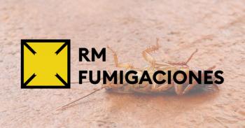 Fumigaciones de Casas y Departamentos en Lo Barnechea