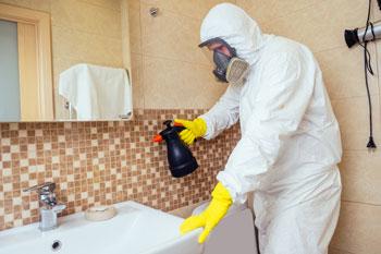 Fotografía 3 de Fumigaciones de Casas y Departamentos en Lo Barnechea