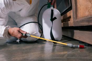 Fotografía 4 de Fumigaciones de Casas y Departamentos en Lo Barnechea