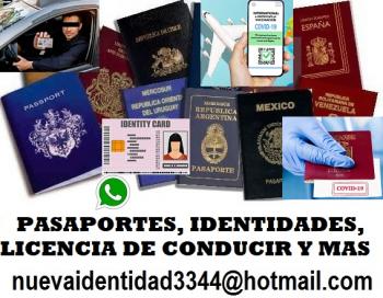 documentos inmediatos online