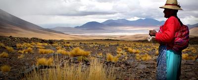 Fotografía 6 de Directorio de Turismo en Chile